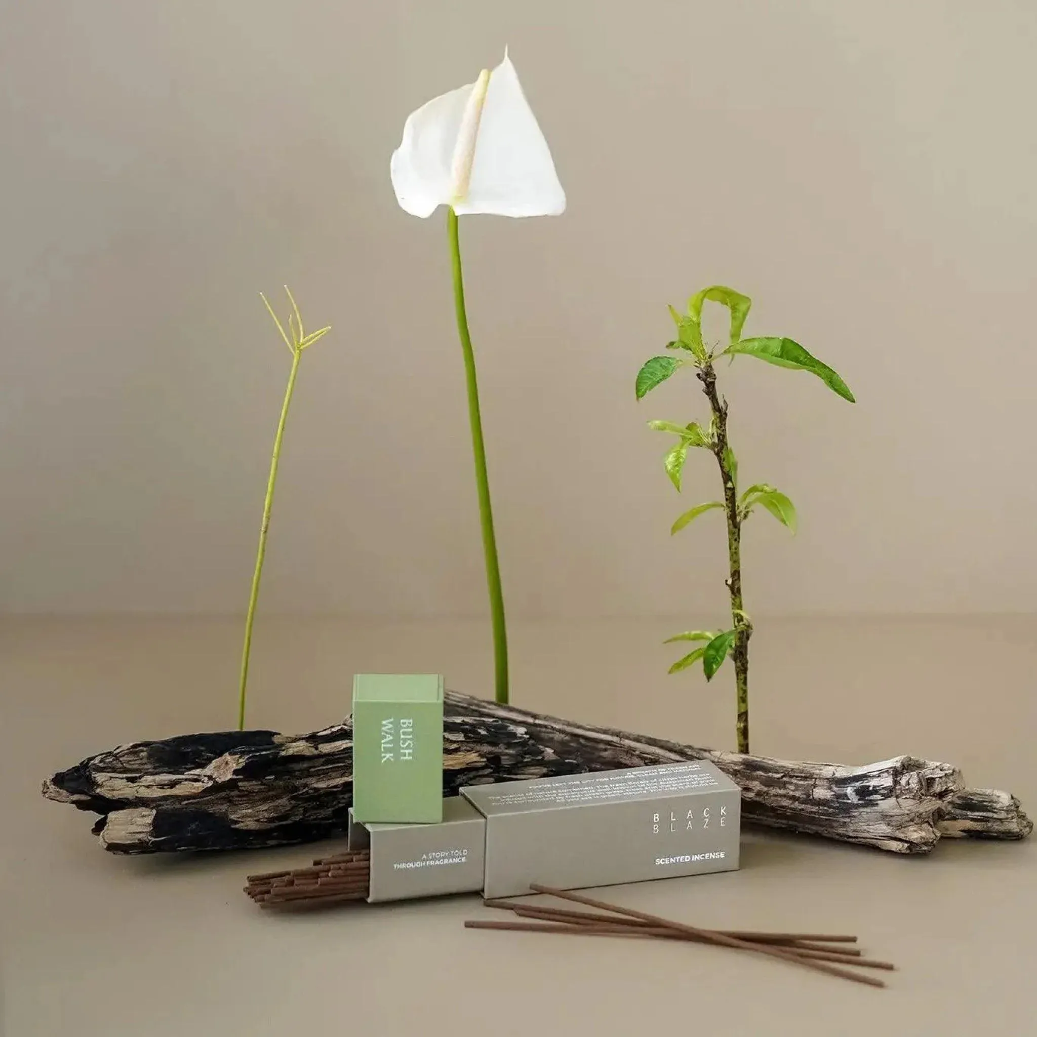BLACK BLAZE Scented Incense, Bush Walk