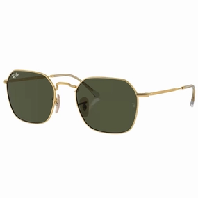 Shop Hot Picks Price Drop Alert Ray-Ban Jim Rb3694 001/31 Gold Frame With Green Lens