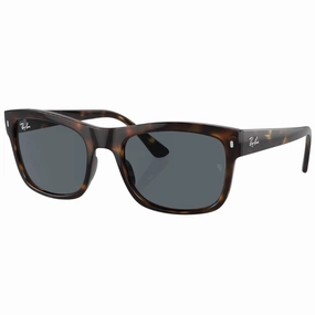 Ray-Ban Rb4428 710/R5 Havana Frame & Azure Blue Lens Hot Offer Event