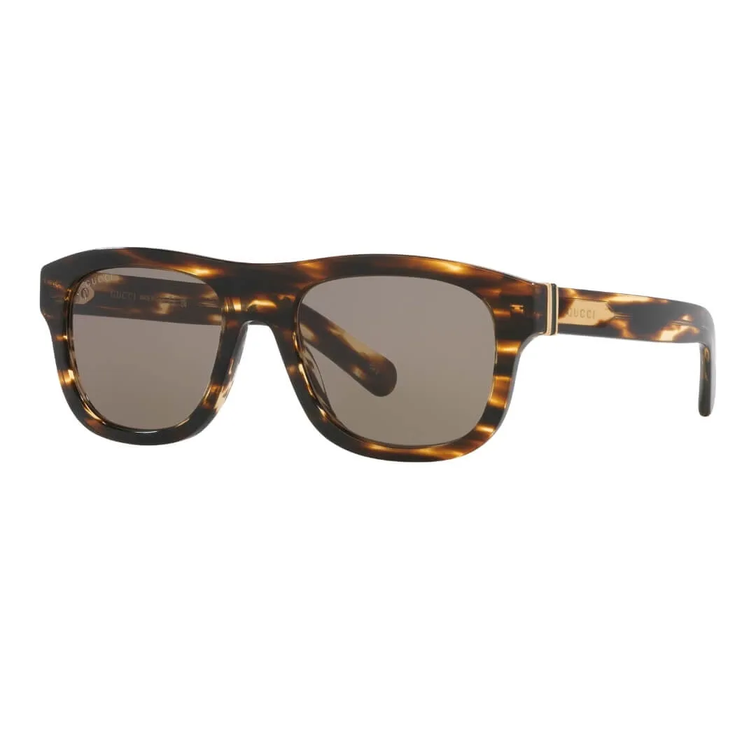 Big Sale Today Todays Hot Savings Gucci Gg1509S 002 MenS Sunglasses - Havana Frame, Brown Lenses