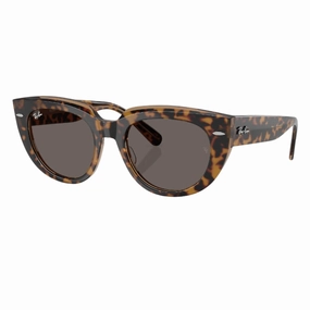 Ray-Ban Doreen Rb2286 1292B1 - Havana Transparent Brown Frame, Dark Grey Lens Special Price Offer