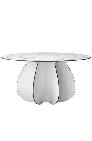 Home Ibride Parodia Magnifica Table 80 - Large