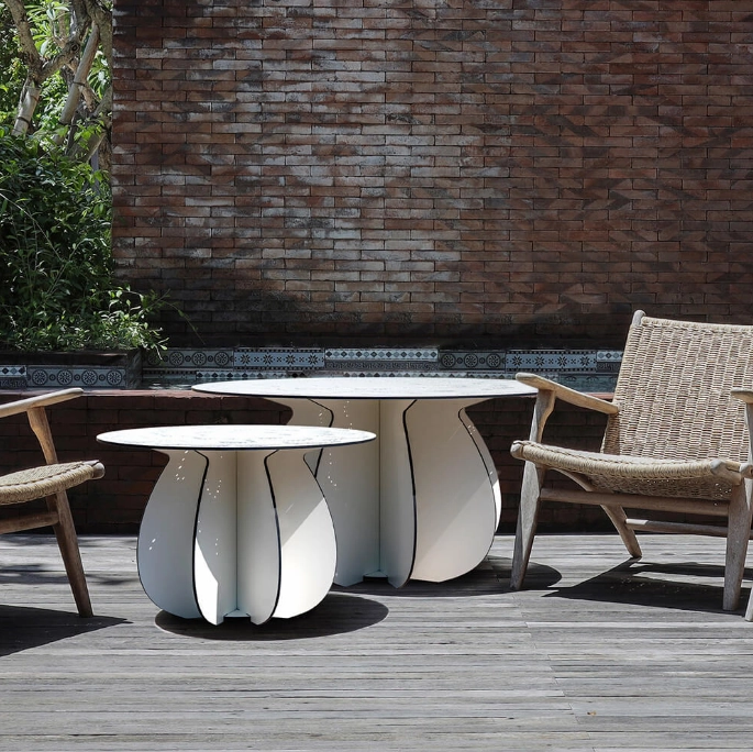 Home Ibride Parodia Magnifica Table 80 - Large