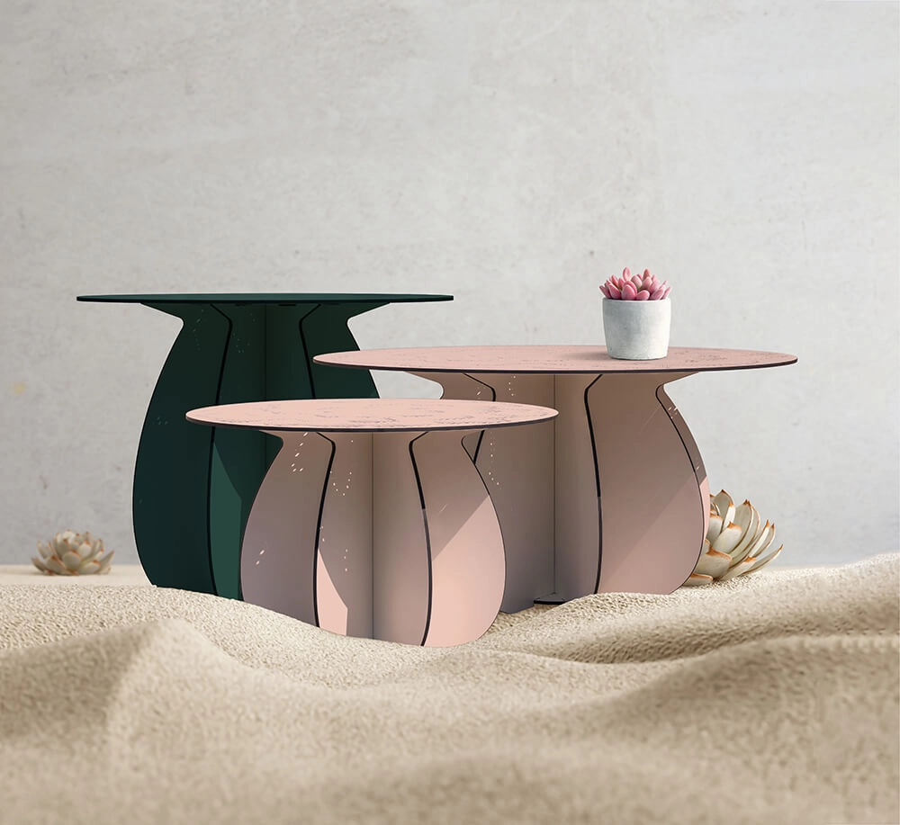 Home Ibride Parodia Magnifica Table 80 - Large