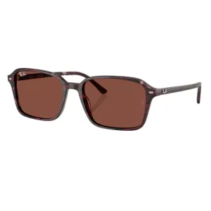 Ray-Ban Raimond Rb2231 1416C5 - Transparent Fantasy Violet/Red Frame, Red Lens Weekend Flash Offer