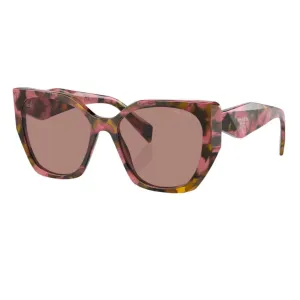 Biggest Savings Now Big Price Drop Prada Pr 19Zs 18N10D - Tortoise Cognac Begonia Light Brown Lenses
