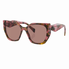 Biggest Savings Now Big Price Drop Prada Pr 19Zs 18N10D - Tortoise Cognac Begonia Light Brown Lenses