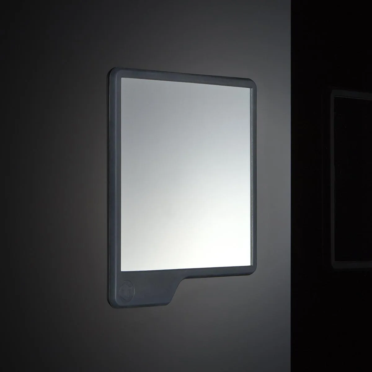 TOOLETRIES The Oliver Shower Mirror